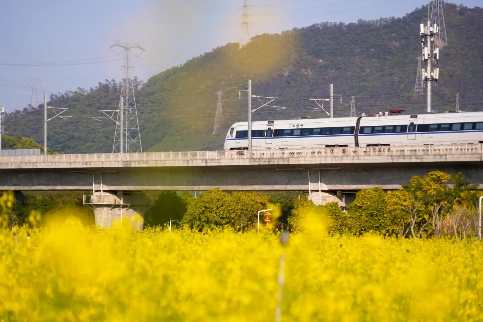 鲁南高速铁路桥梁工程与路基工程设计方案对比分析正文配图 1